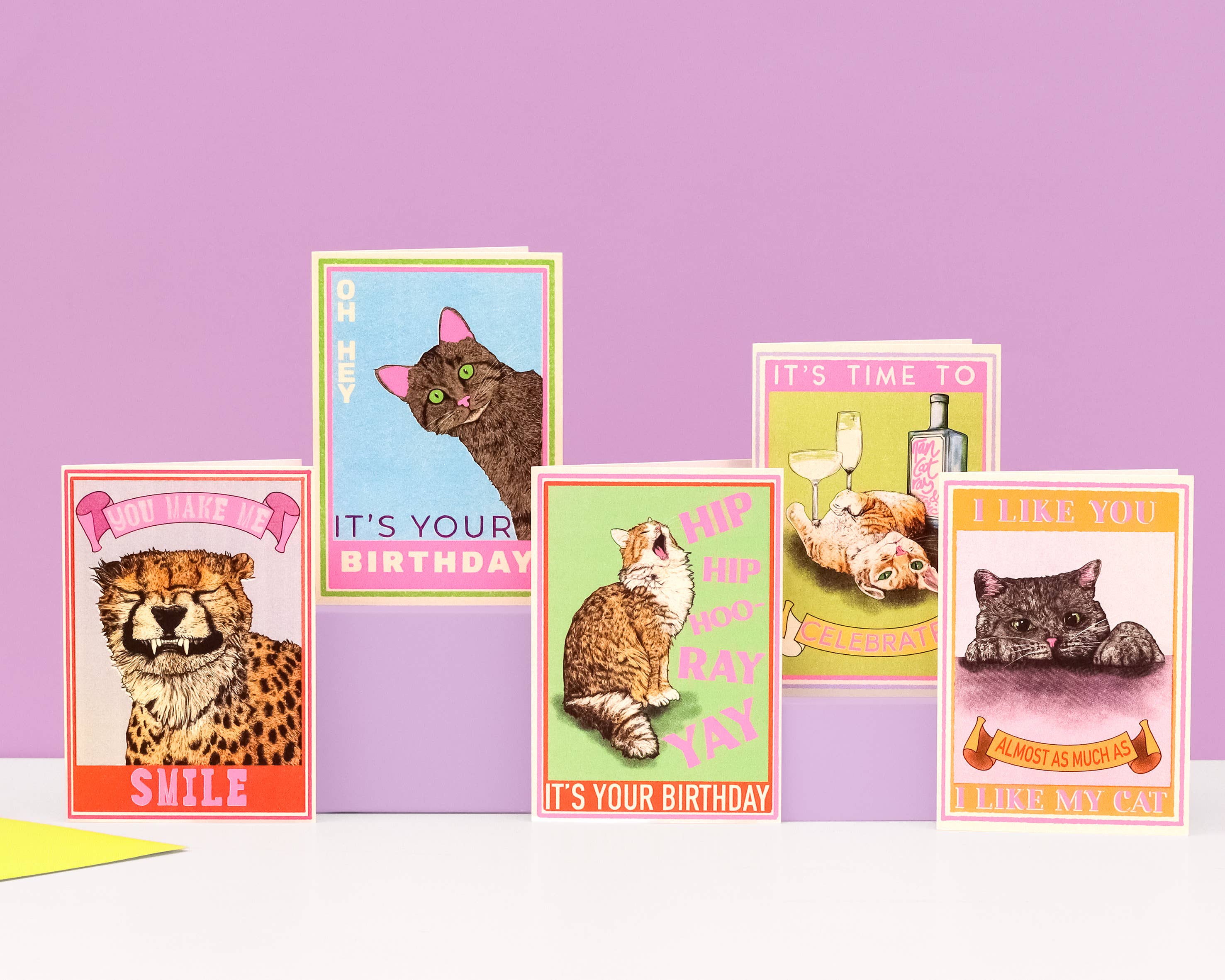 I Like You Cat Card | Funny Cat Card | Valentine's Day