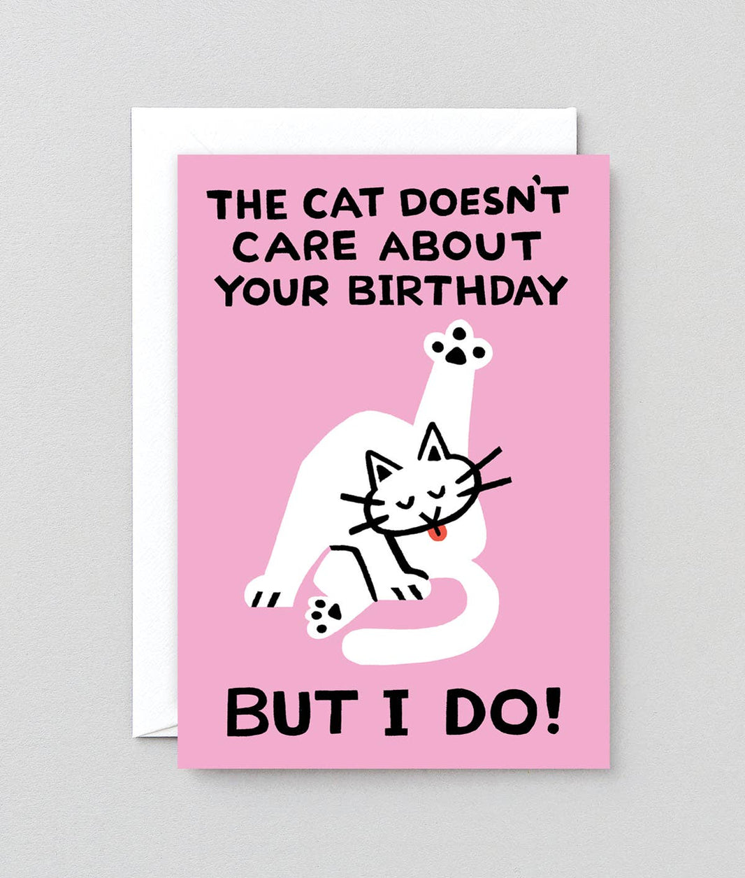 Birthday Card Cat