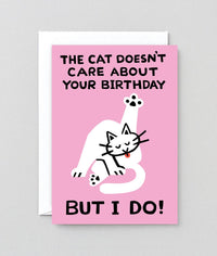 Birthday Card Cat
