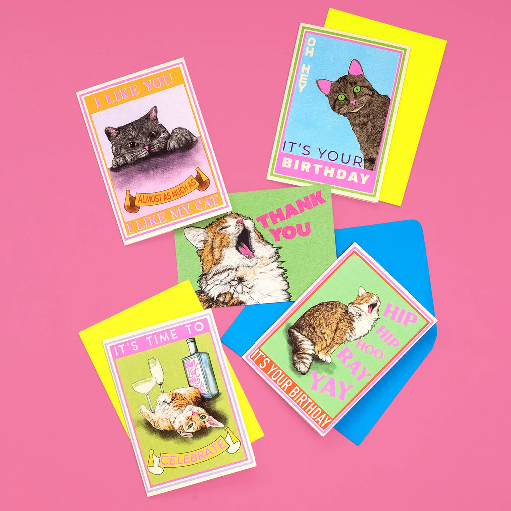 I Like You Cat Card | Funny Cat Card | Valentine's Day