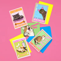 I Like You Cat Card | Funny Cat Card | Valentine's Day