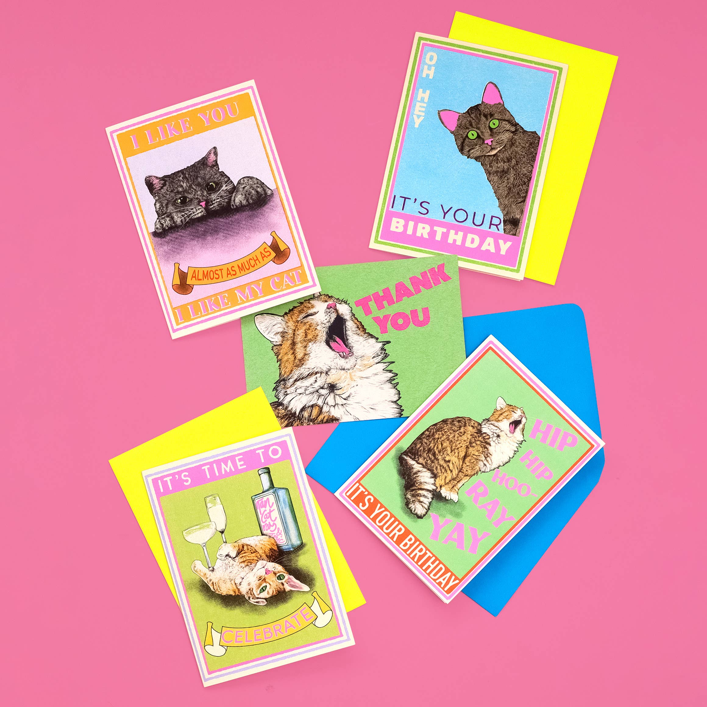 I Like You Cat Card | Funny Cat Card | Valentine's Day