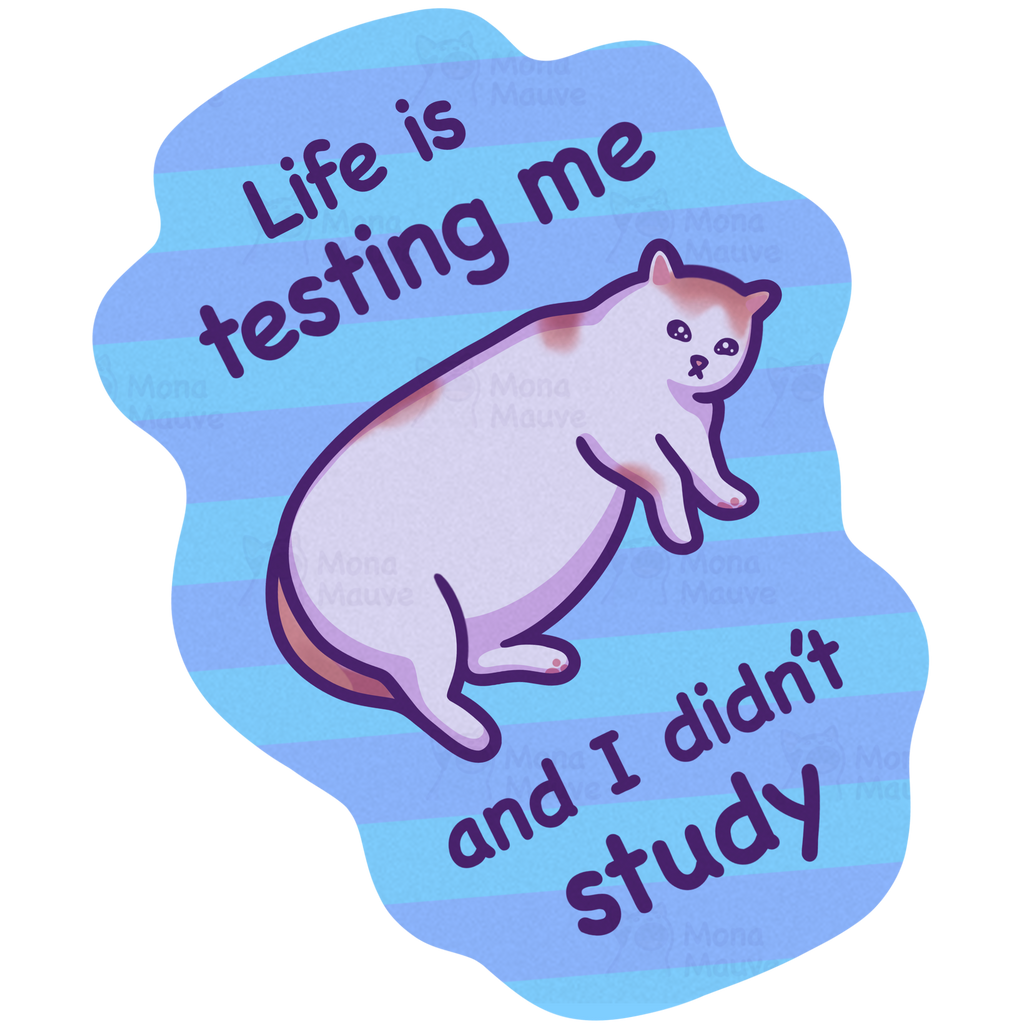 Life Is Testing Me | Funny Cat Meme Vinyl Sticker