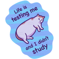 Life Is Testing Me | Funny Cat Meme Vinyl Sticker