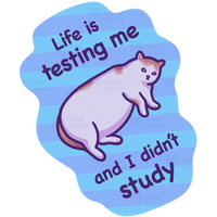 Life Is Testing Me | Funny Cat Meme Vinyl Sticker