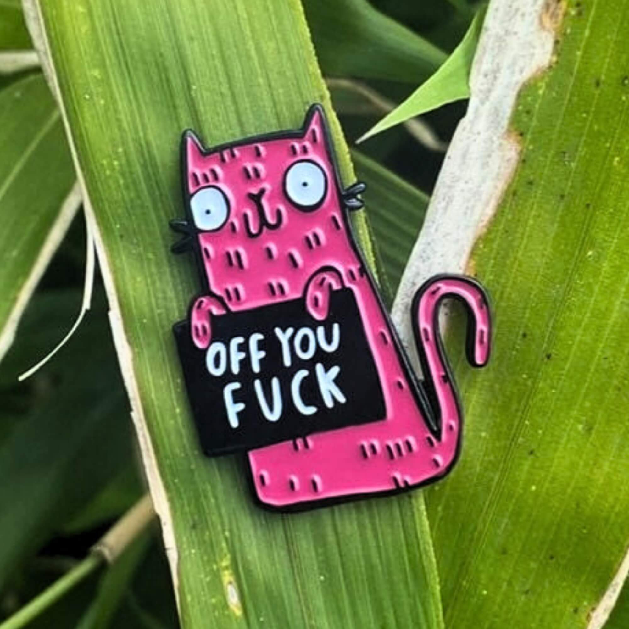 Pin: Off You F*ck Cat