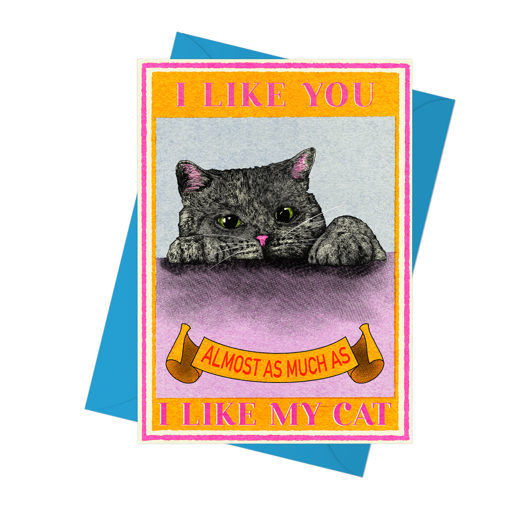 I Like You Cat Card | Funny Cat Card | Valentine's Day