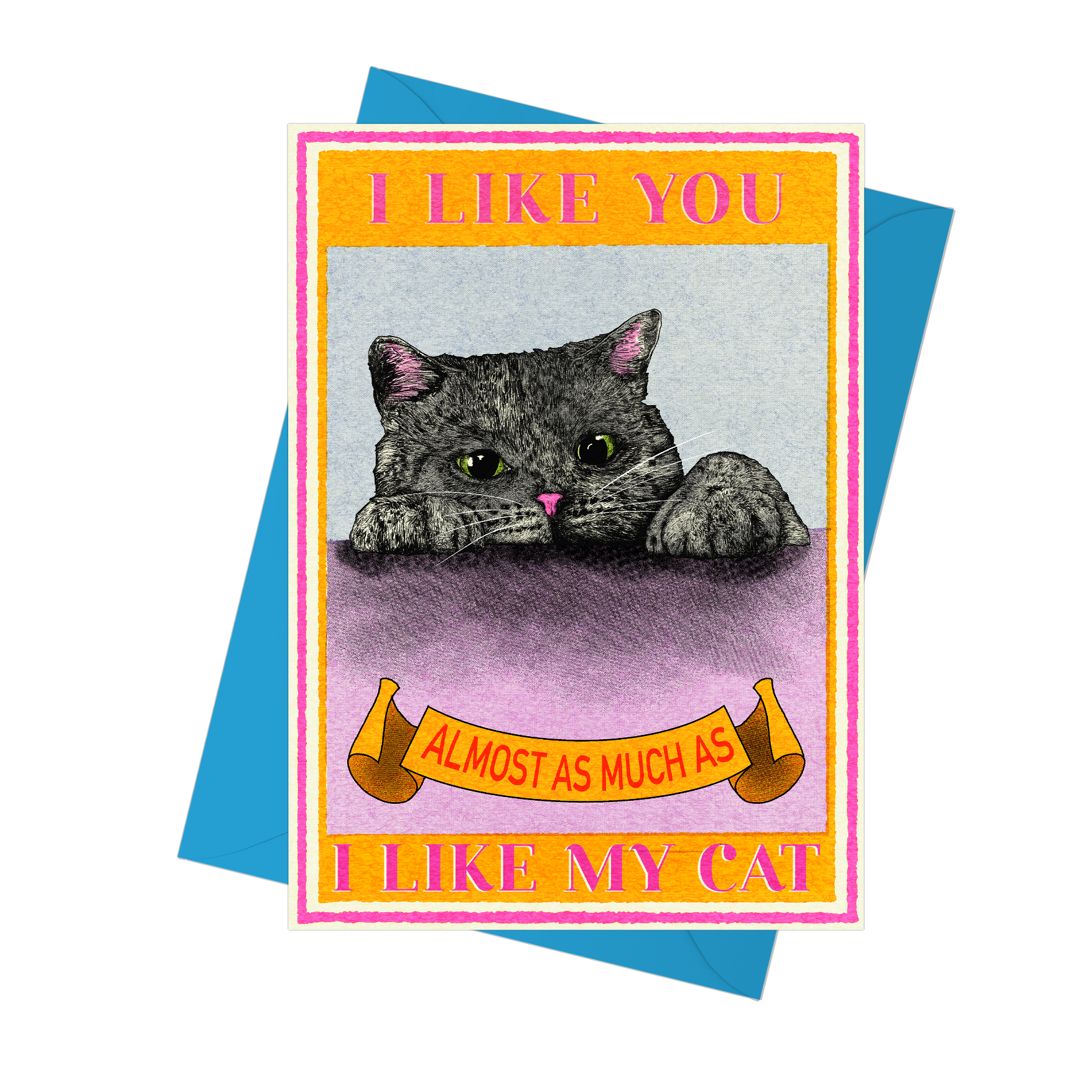 I Like You Cat Card | Funny Cat Card | Valentine's Day