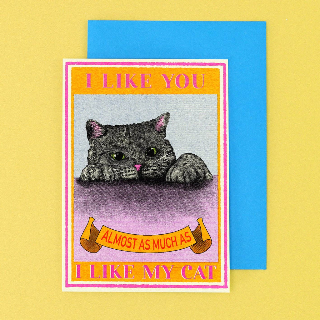 I Like You Cat Card | Funny Cat Card | Valentine's Day