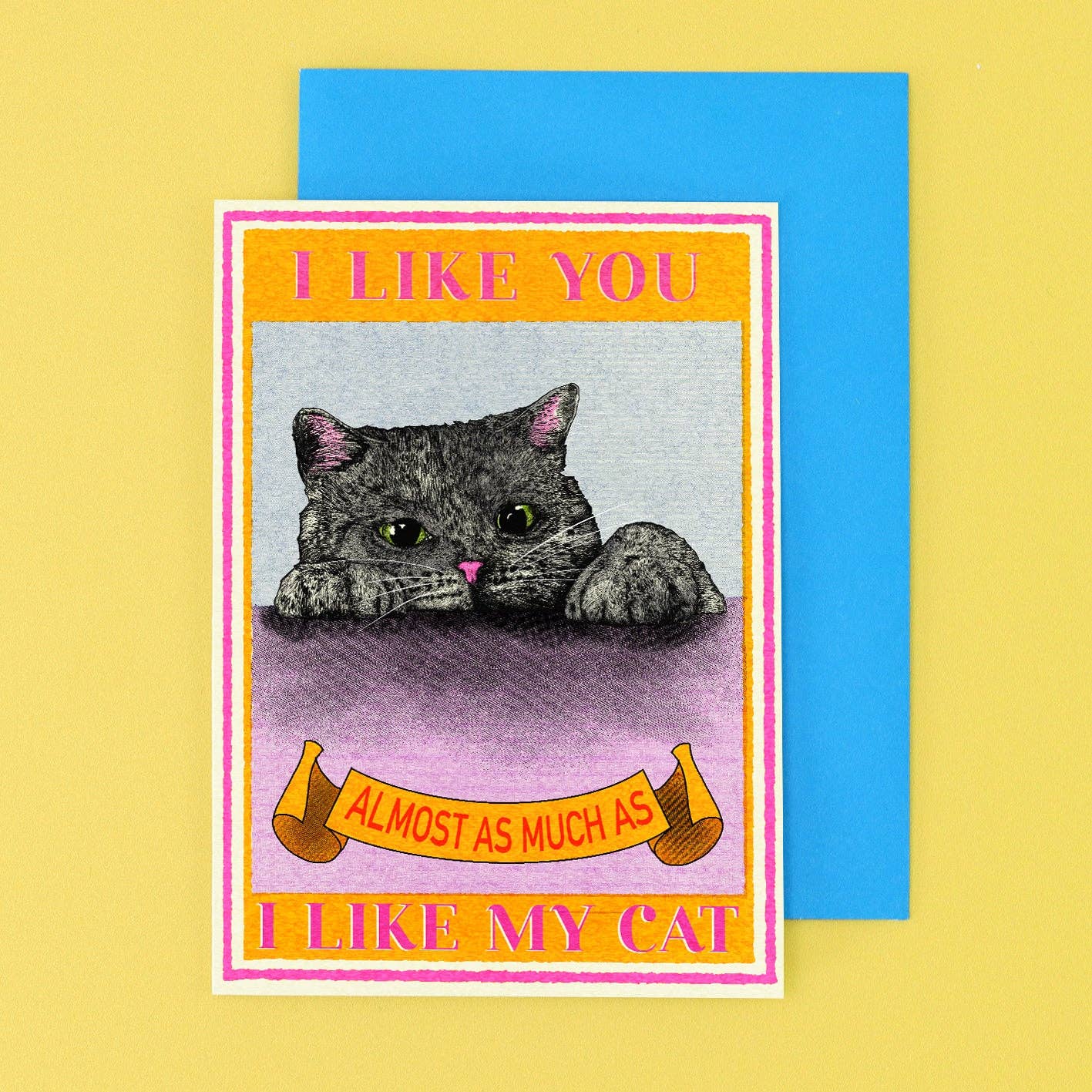 I Like You Cat Card | Funny Cat Card | Valentine's Day