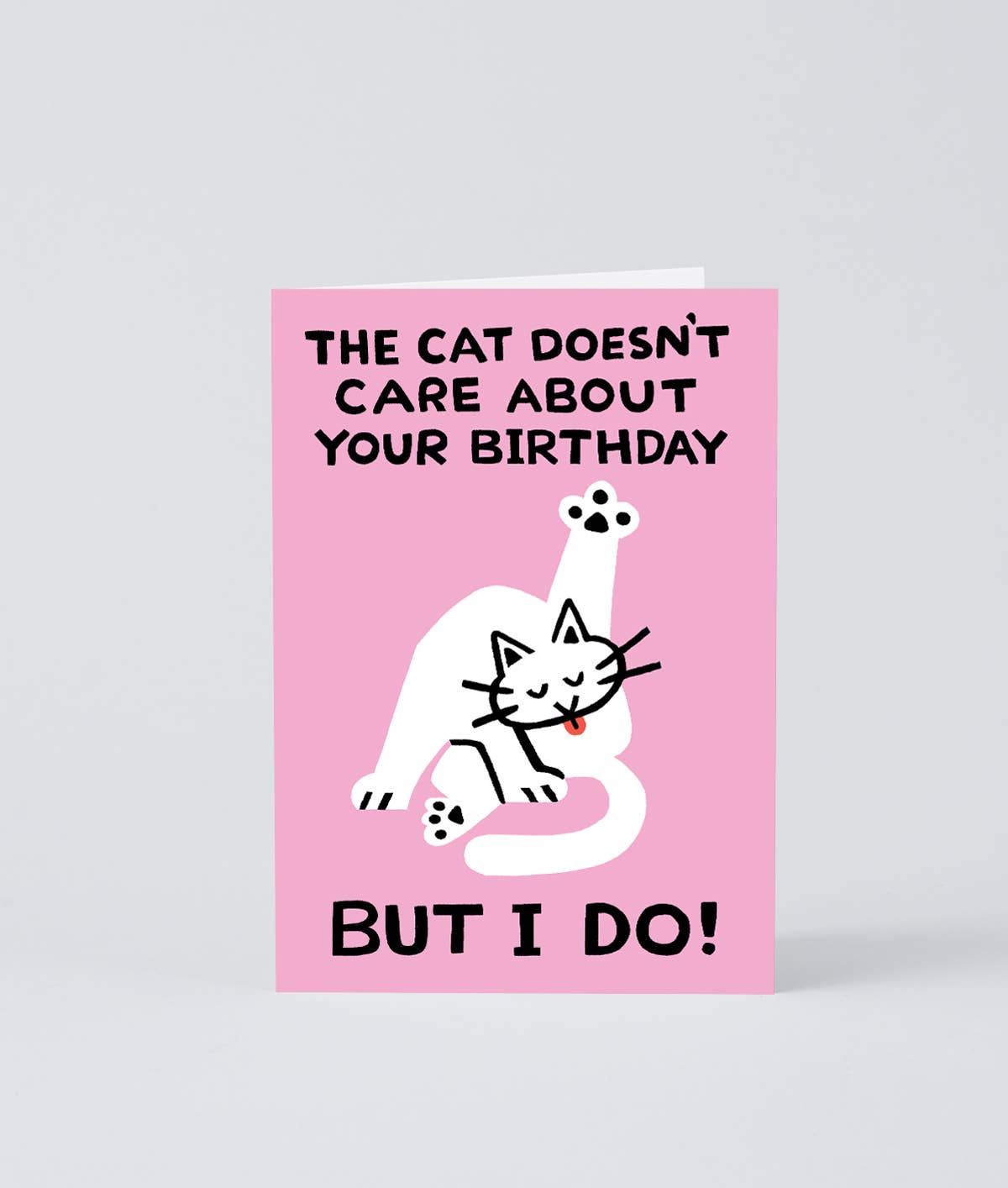 Birthday Card Cat