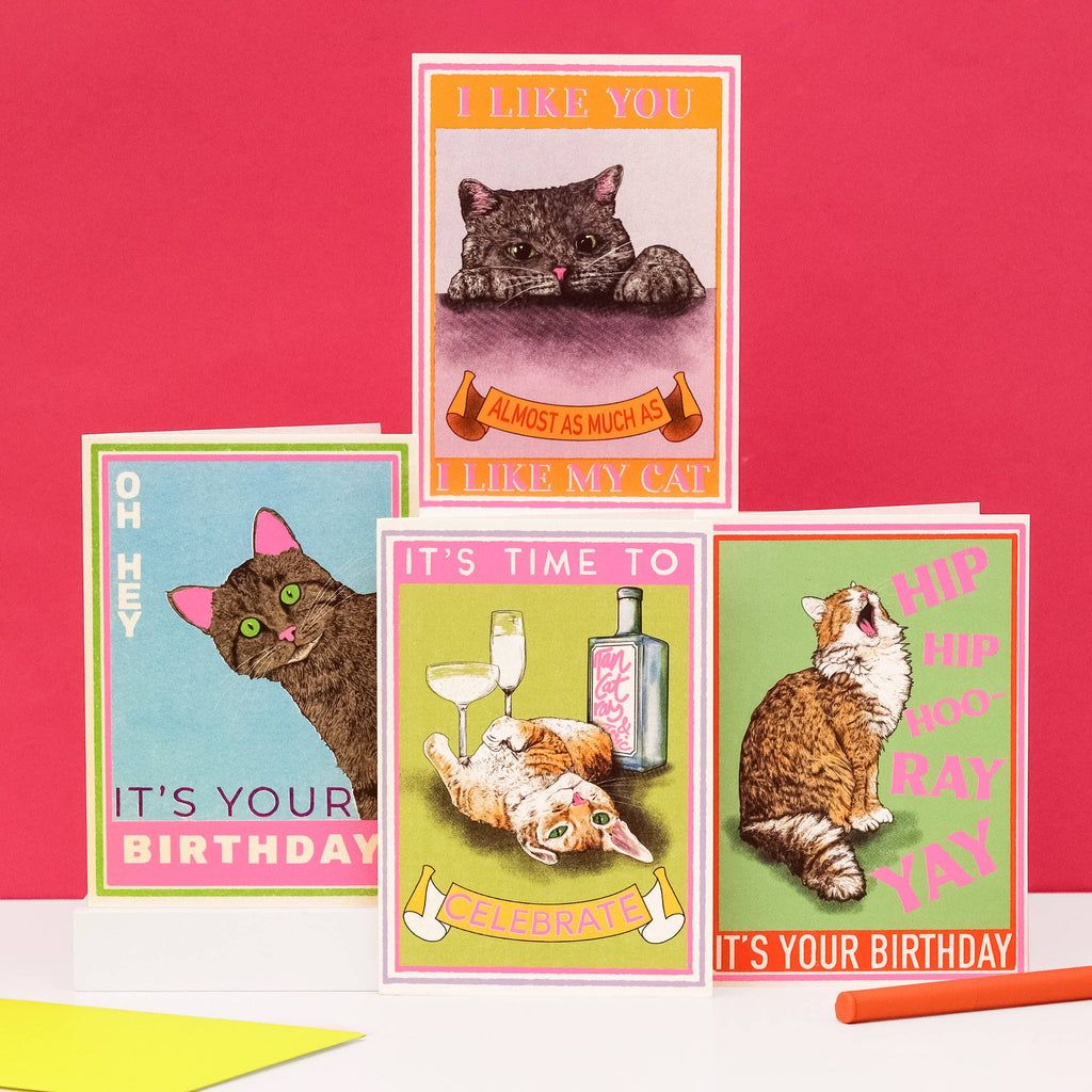 I Like You Cat Card | Funny Cat Card | Valentine's Day