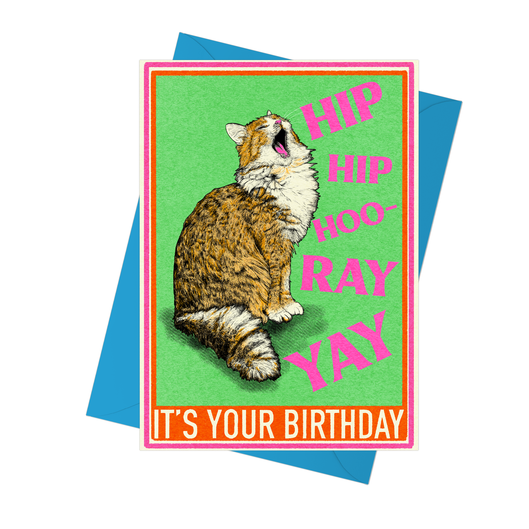 Hip Hip Hooray Cat Birthday Card |