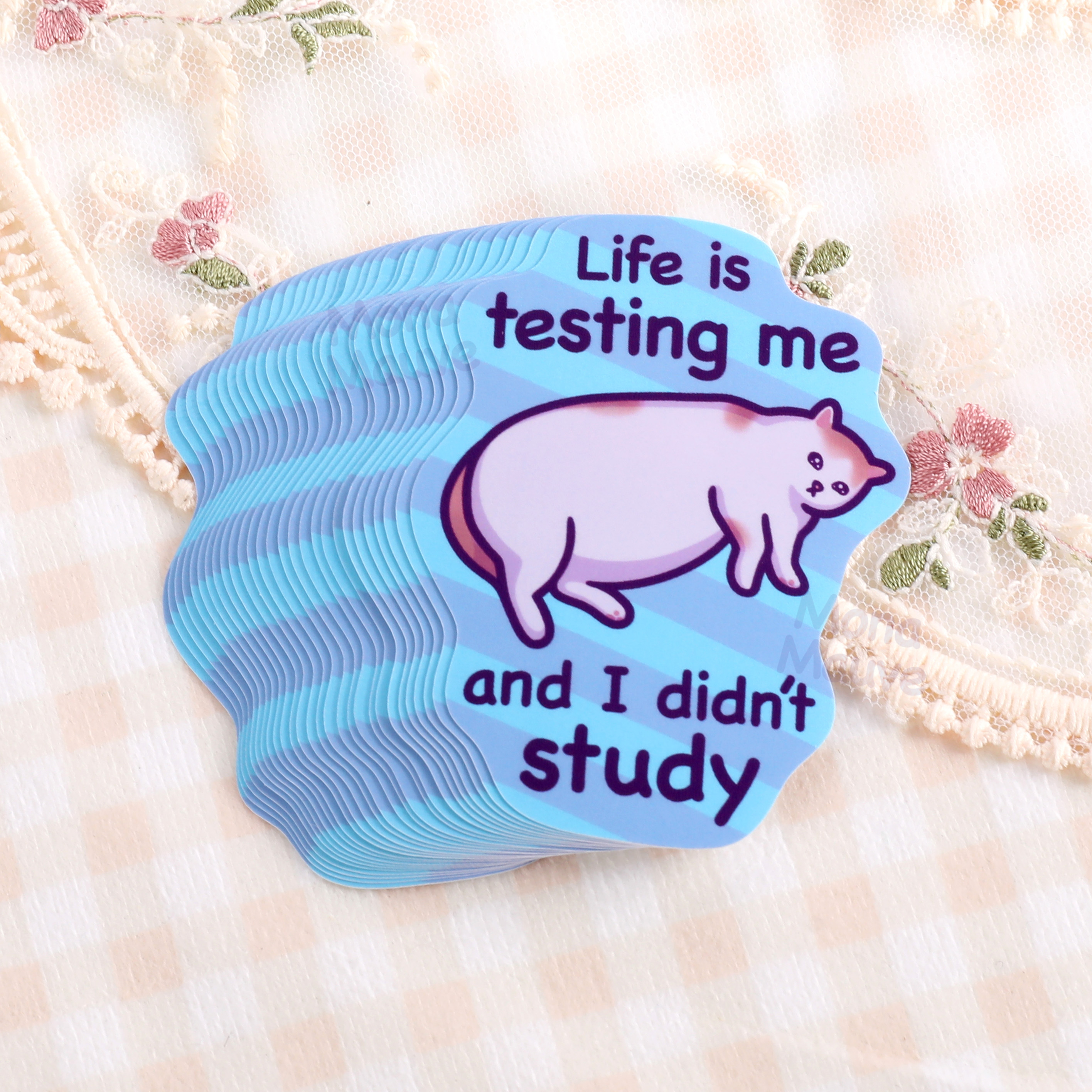 Life Is Testing Me | Funny Cat Meme Vinyl Sticker