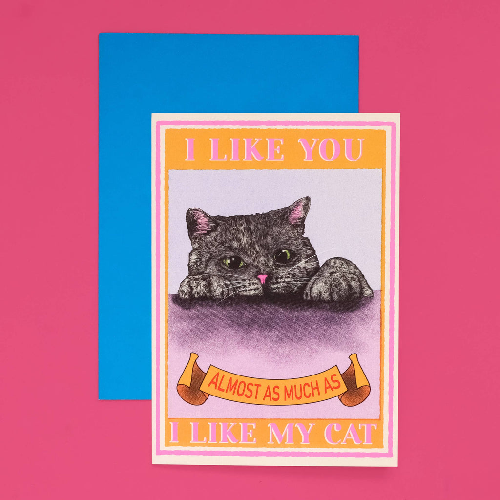 I Like You Cat Card | Funny Cat Card | Valentine's Day